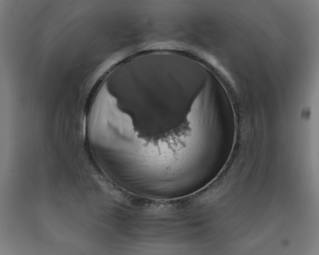 X0000091861221200709261247