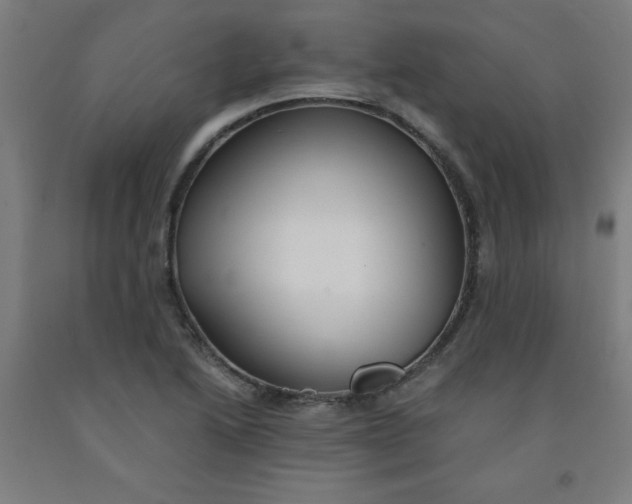 X0000091861222200709261247