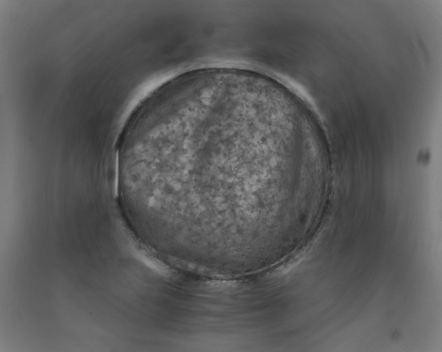 X0000091861223200709261248