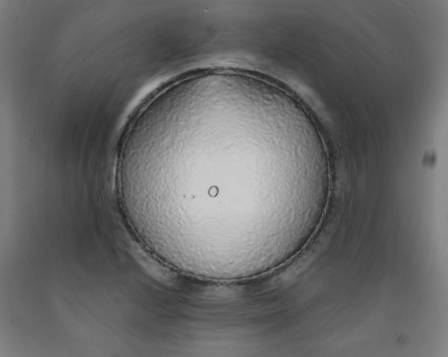 X0000091861224200709261248