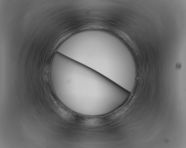 X0000091861225200709261248