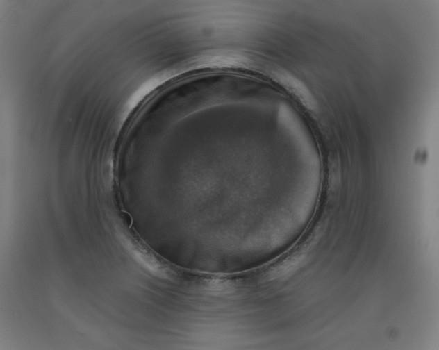 X0000091861226200709261248