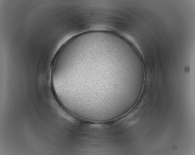 X0000091861227200709261248