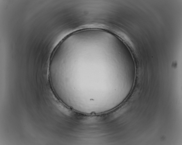 X0000091861228200709261248