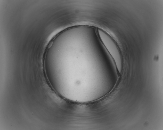 X0000091861230200709261248