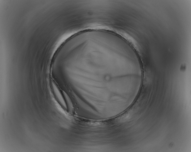 X0000091861231200709261248