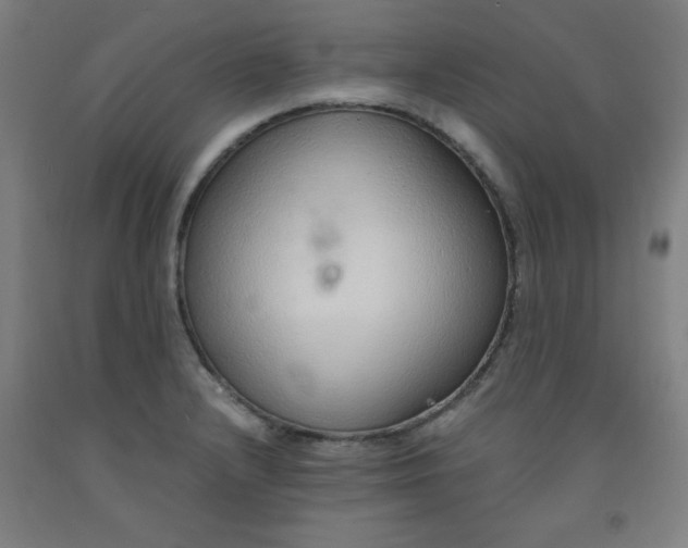 X0000091861232200709261248