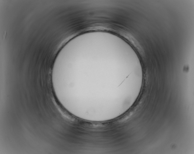 X0000091861233200709261248