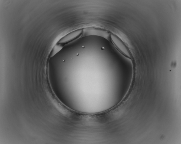 X0000091861234200709261248