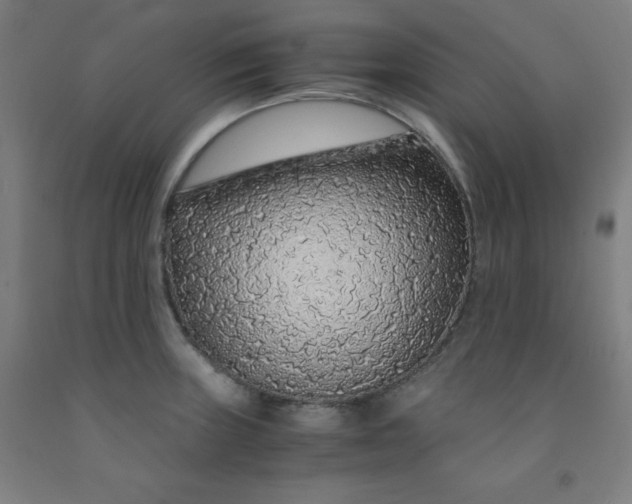 X0000091861235200709261248