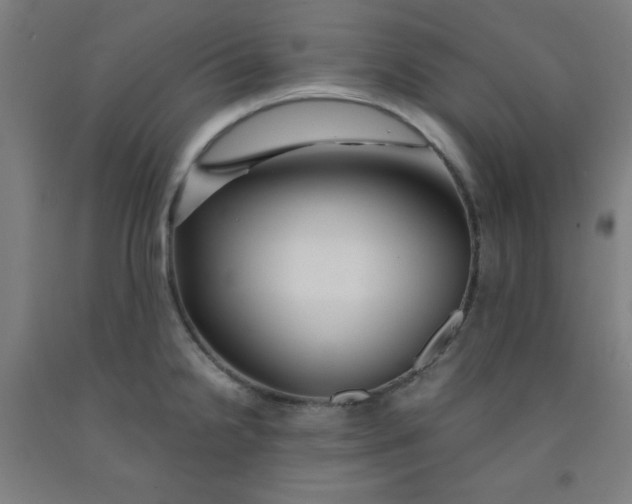 X0000091861238200709261248