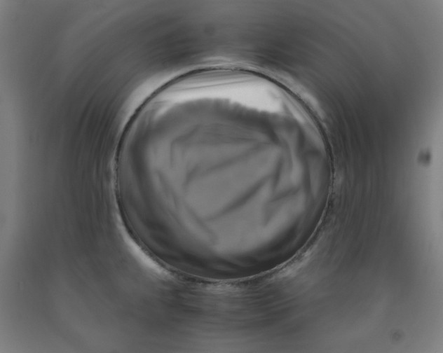 X0000091861239200709261248