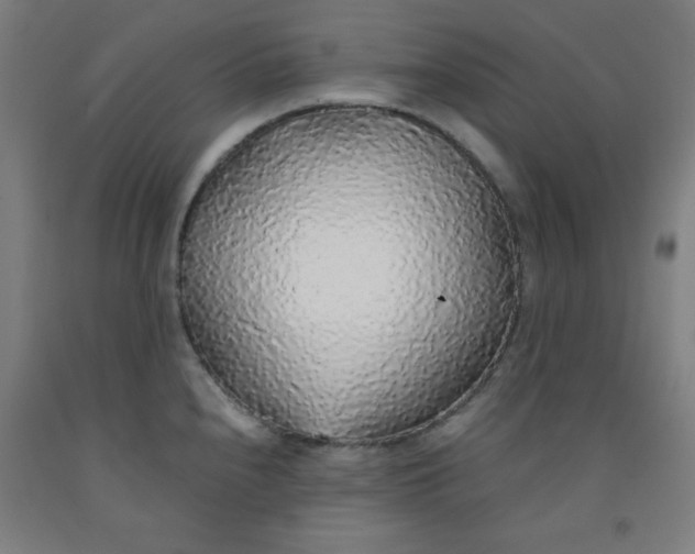 X0000091861240200709261248