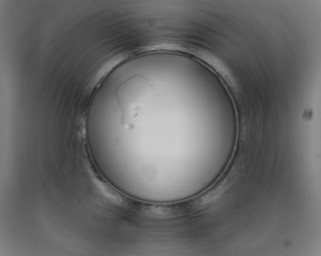 X0000091861241200709261248