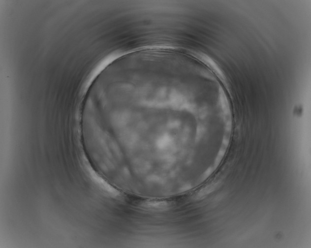 X0000091861243200709261248