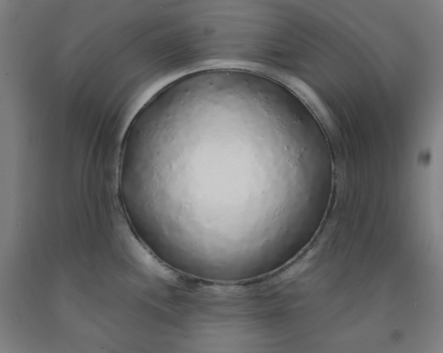 X0000091861244200709261248