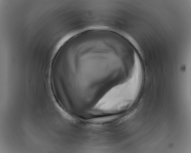 X0000091861245200709261248