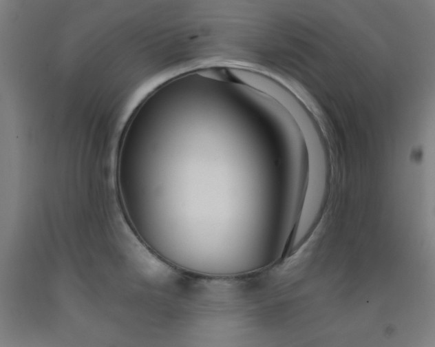 X0000091861246200709261248