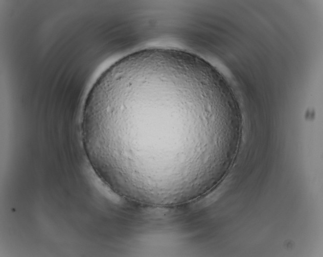 X0000091861248200709261248