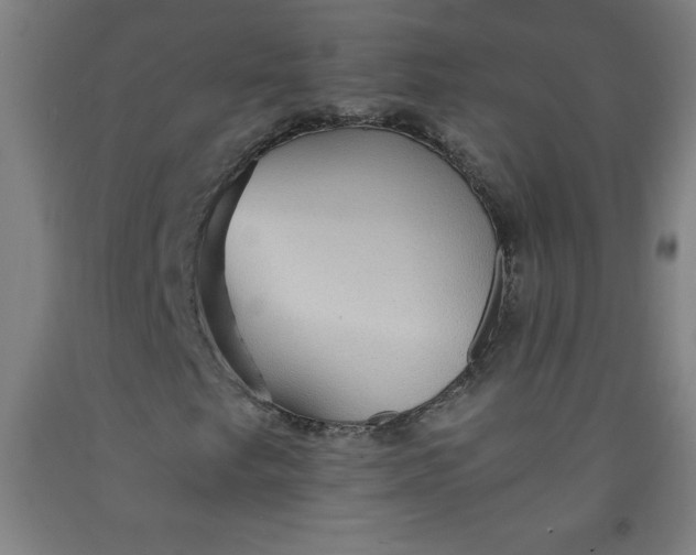 X0000091861249200709261247