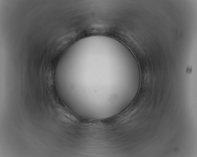 X0000091861250200709261247