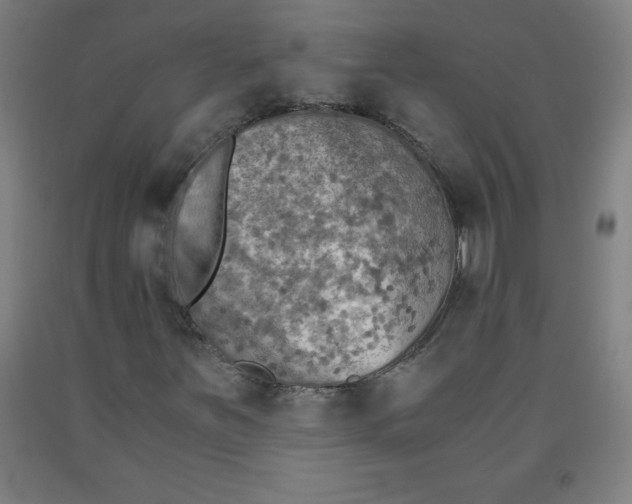 X0000091861251200709261247