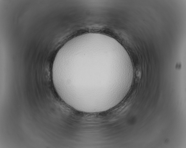 X0000091861252200709261247