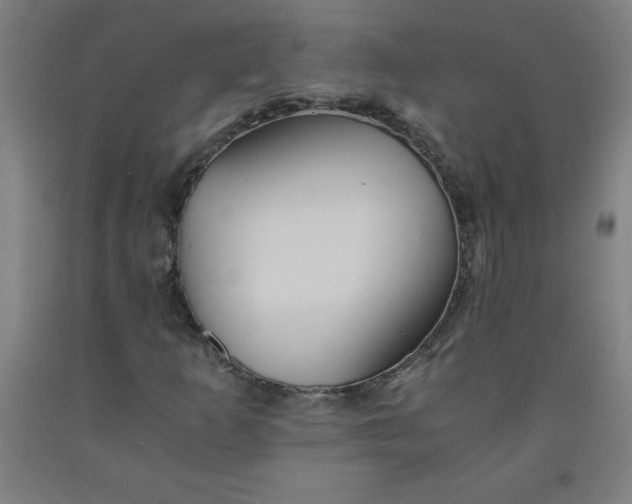 X0000091861253200709261247