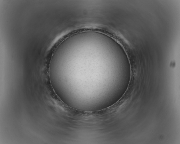 X0000091861256200709261247