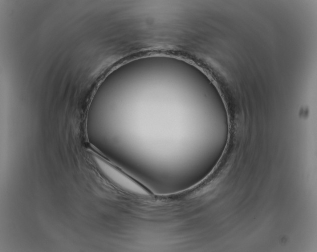 X0000091861257200709261247