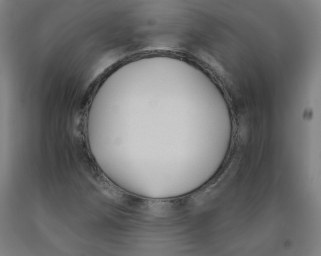 X0000091861258200709261247