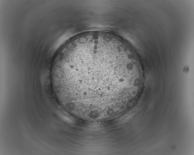 X0000091861259200709261247