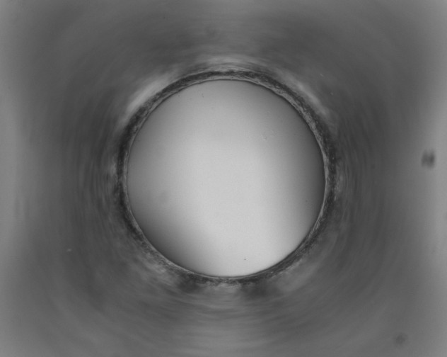 X0000091861261200709261247