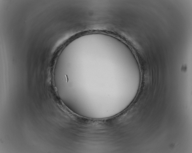 X0000091861262200709261247