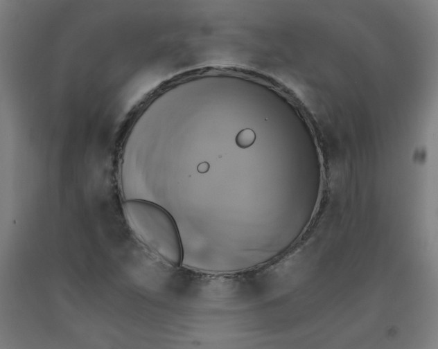 X0000091861263200709261247