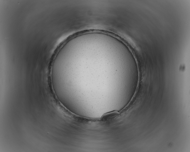 X0000091861264200709261247