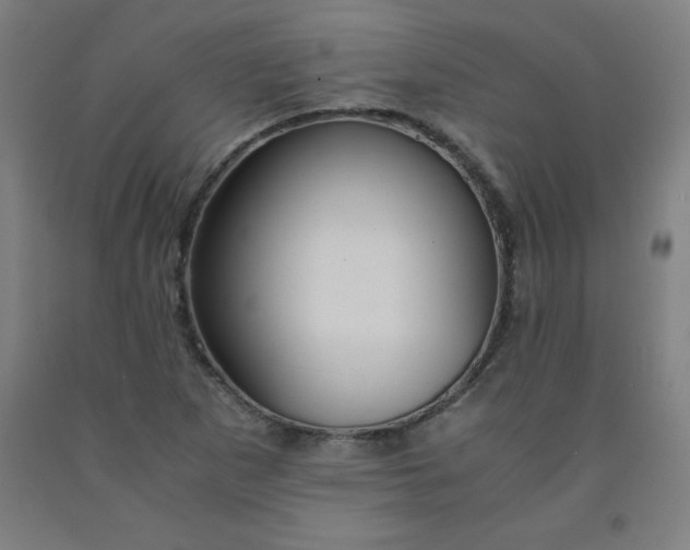 X0000091861265200709261247