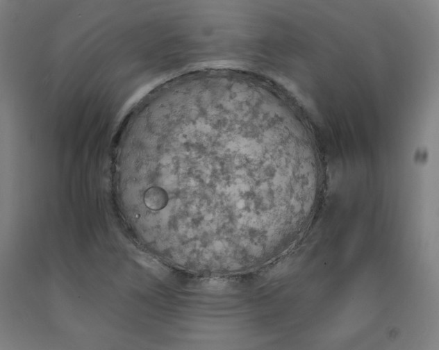 X0000091861266200709261247