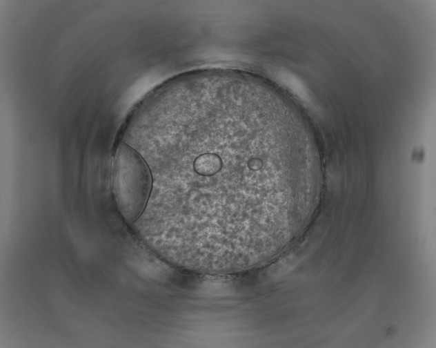 X0000091861267200709261247