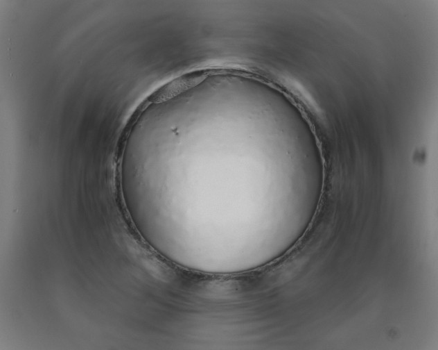 X0000091861268200709261247