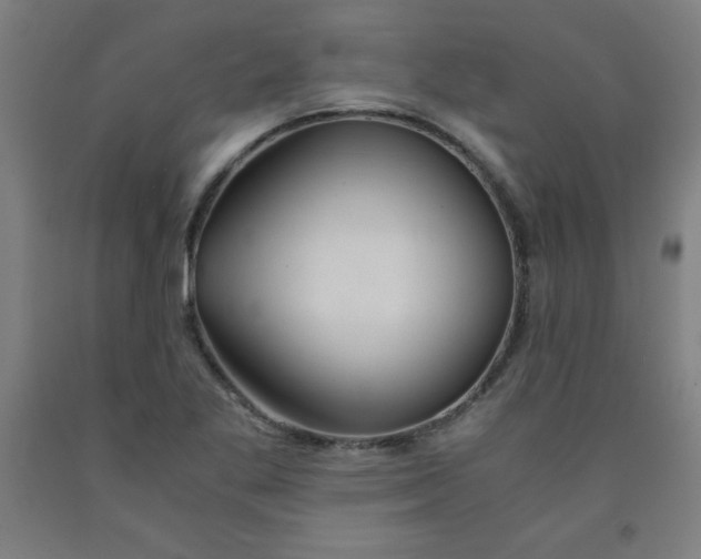 X0000091861269200709261247