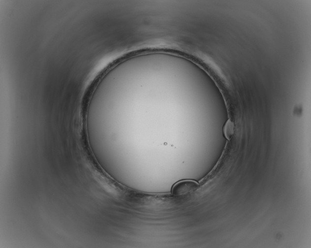 X0000091861270200709261247