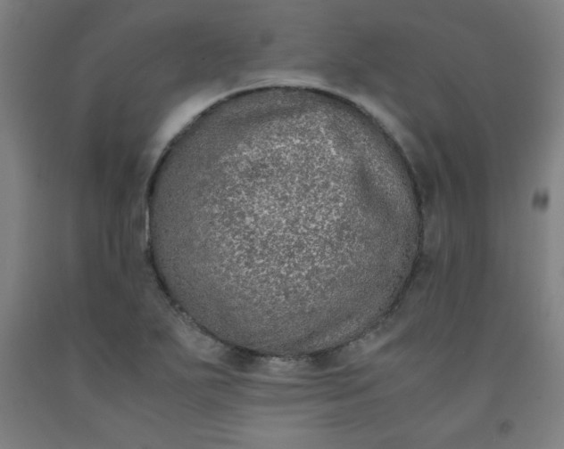 X0000091861271200709261247