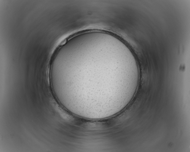 X0000091861272200709261247