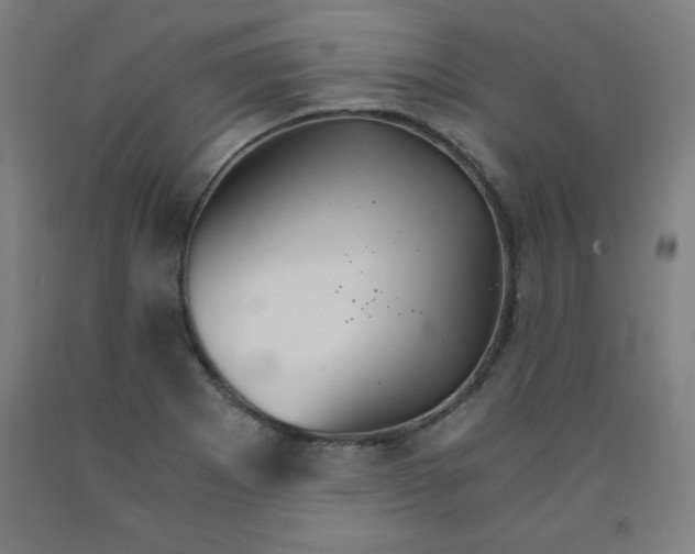 X0000091861273200709261247