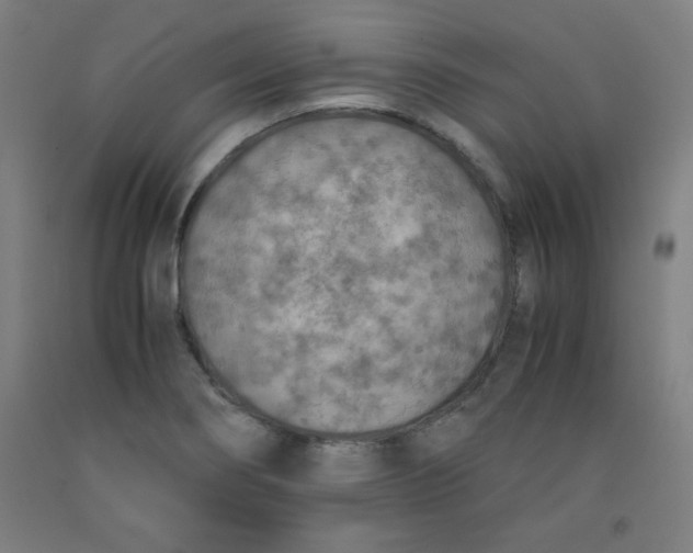 X0000091861274200709261247