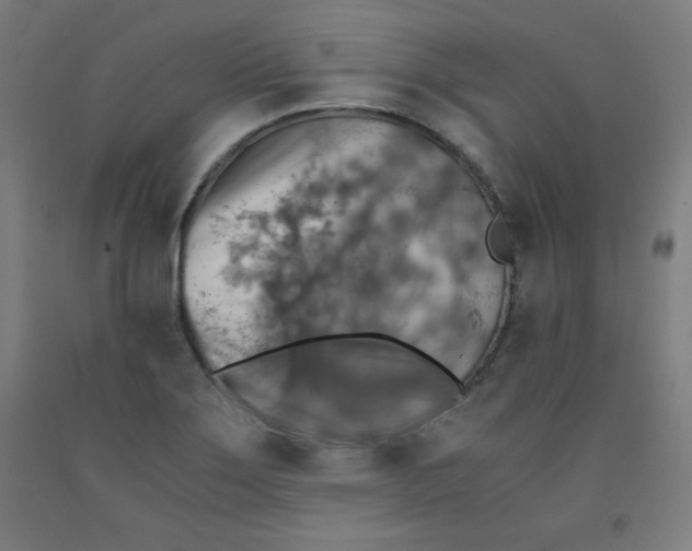 X0000091861275200709261247