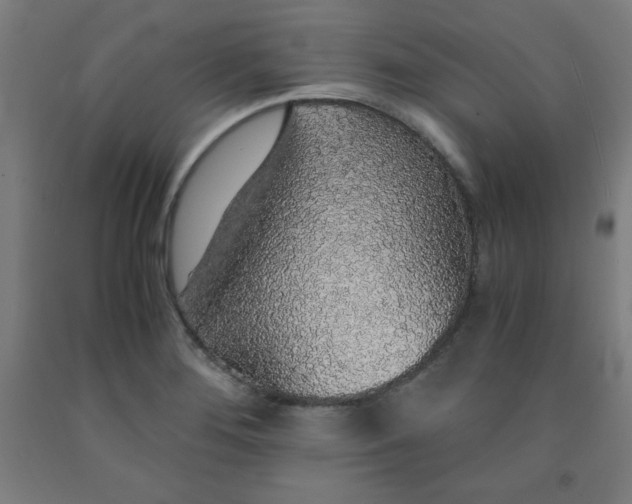 X0000091861276200709261247