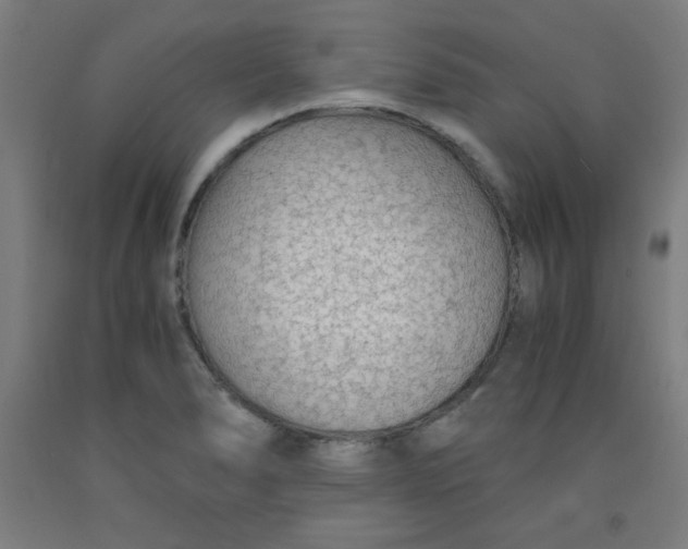 X0000091861278200709261247