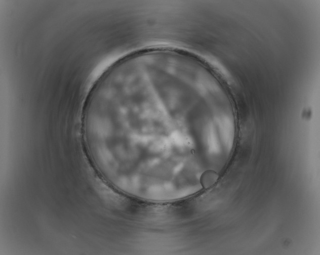 X0000091861279200709261247